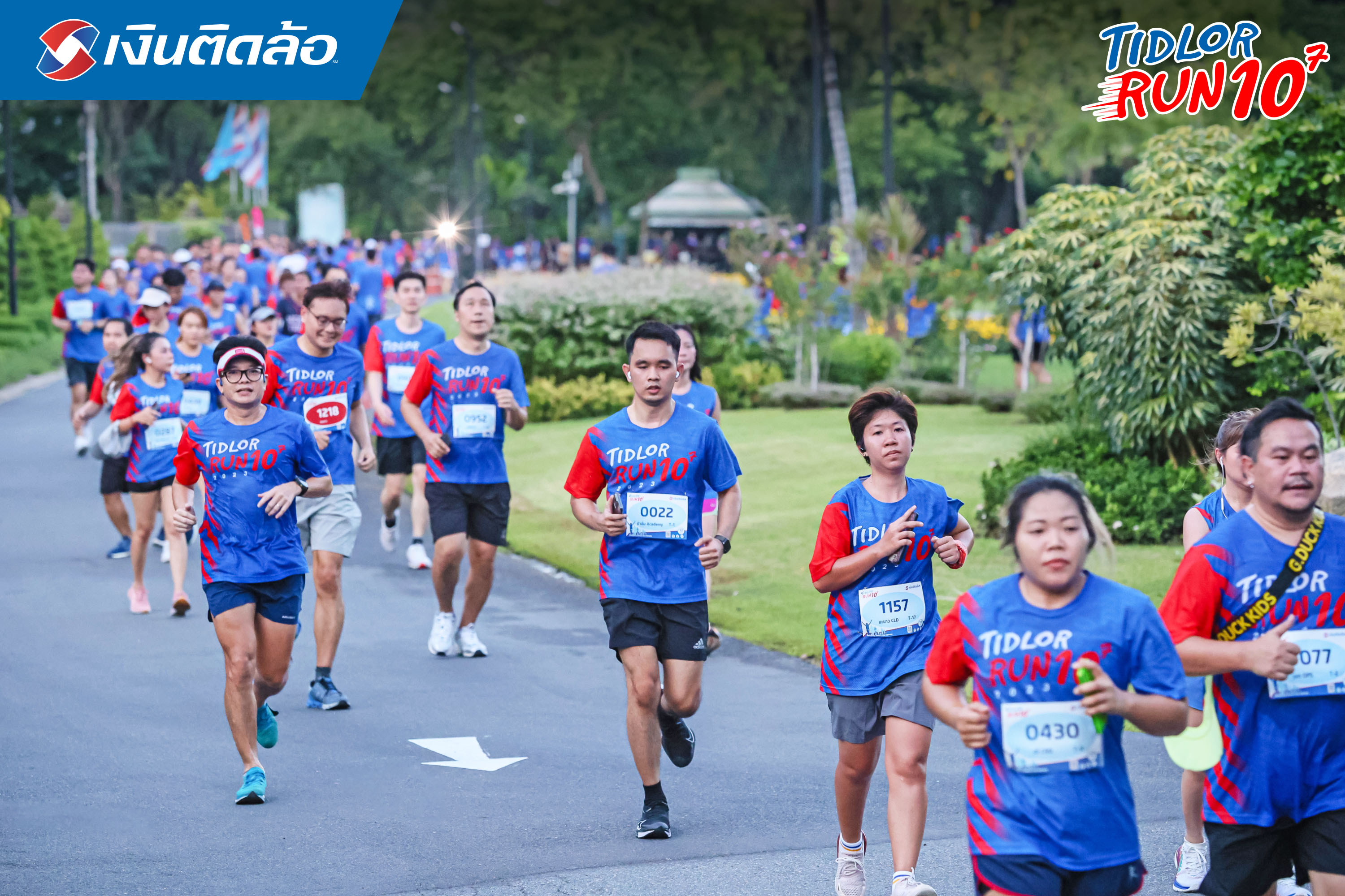 Tidlor Article Gallery