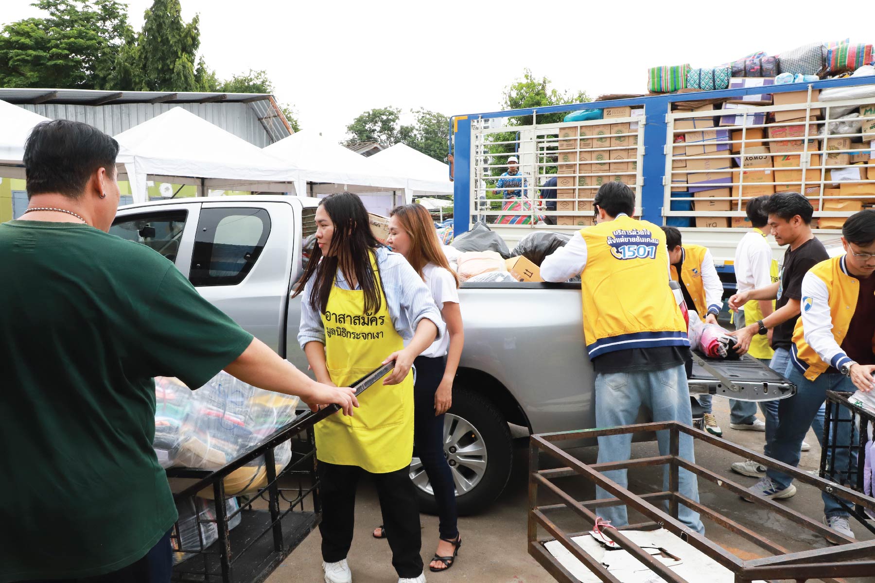 Tidlor Article Gallery