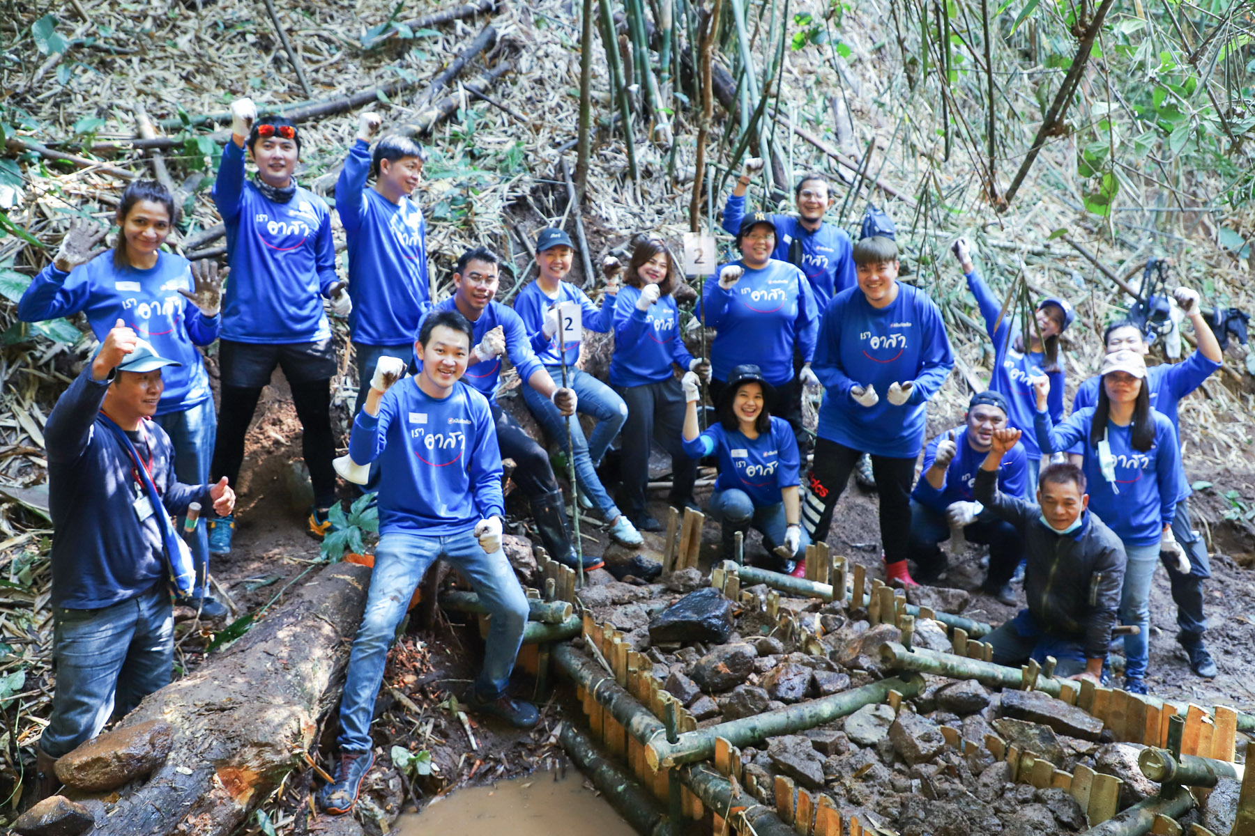 Tidlor Article Gallery