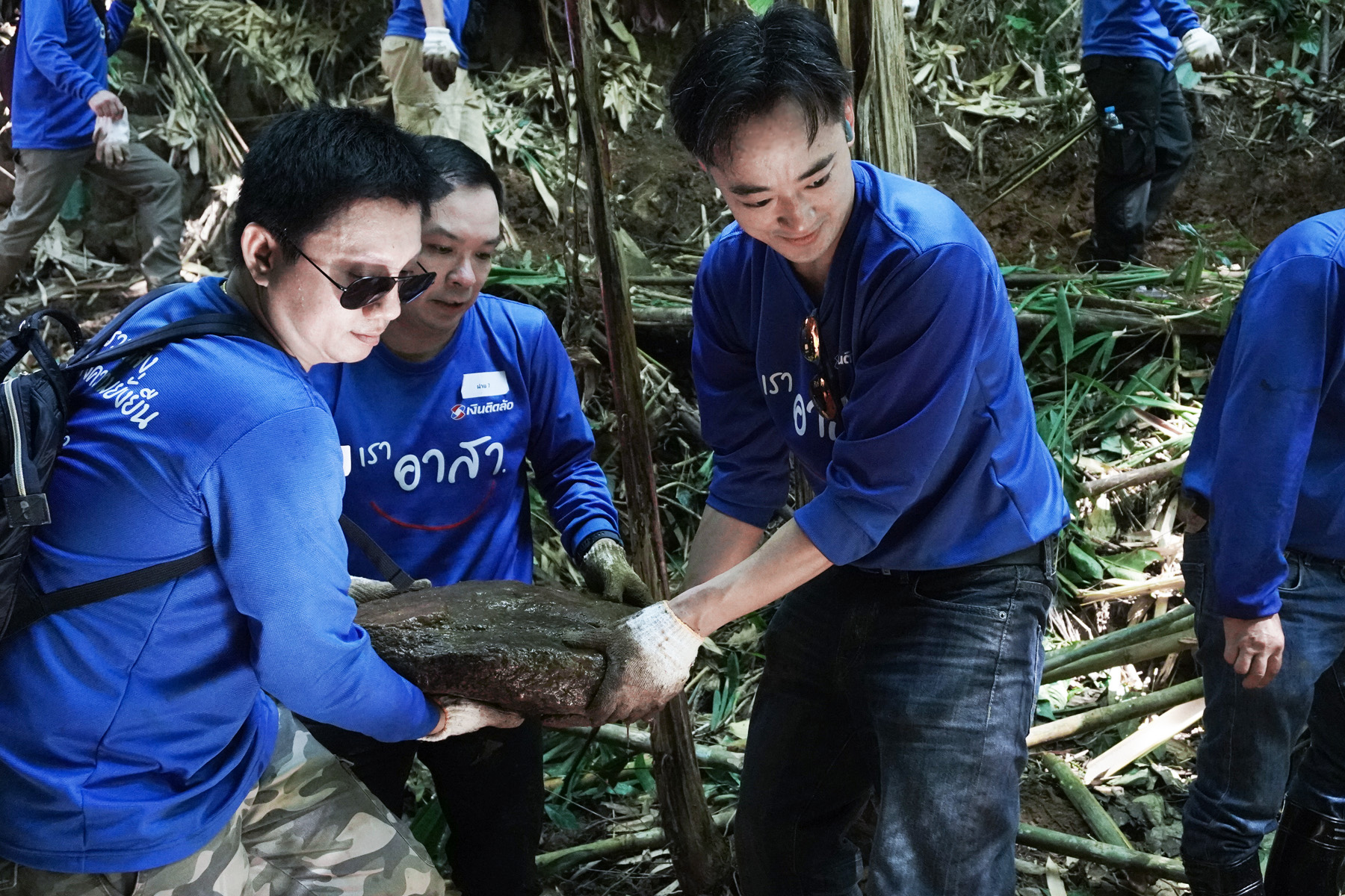 Tidlor Article Gallery