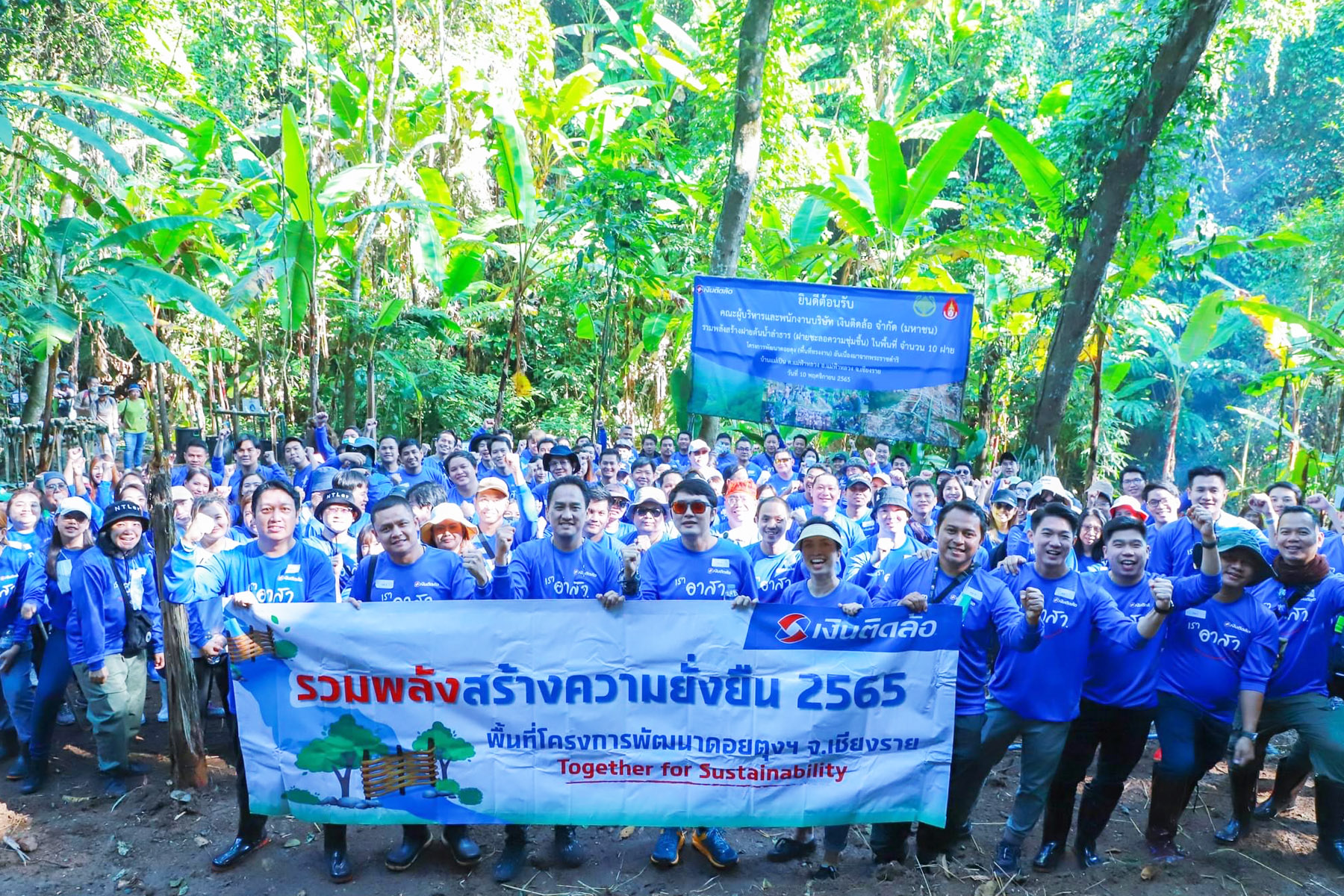 Tidlor Article Gallery