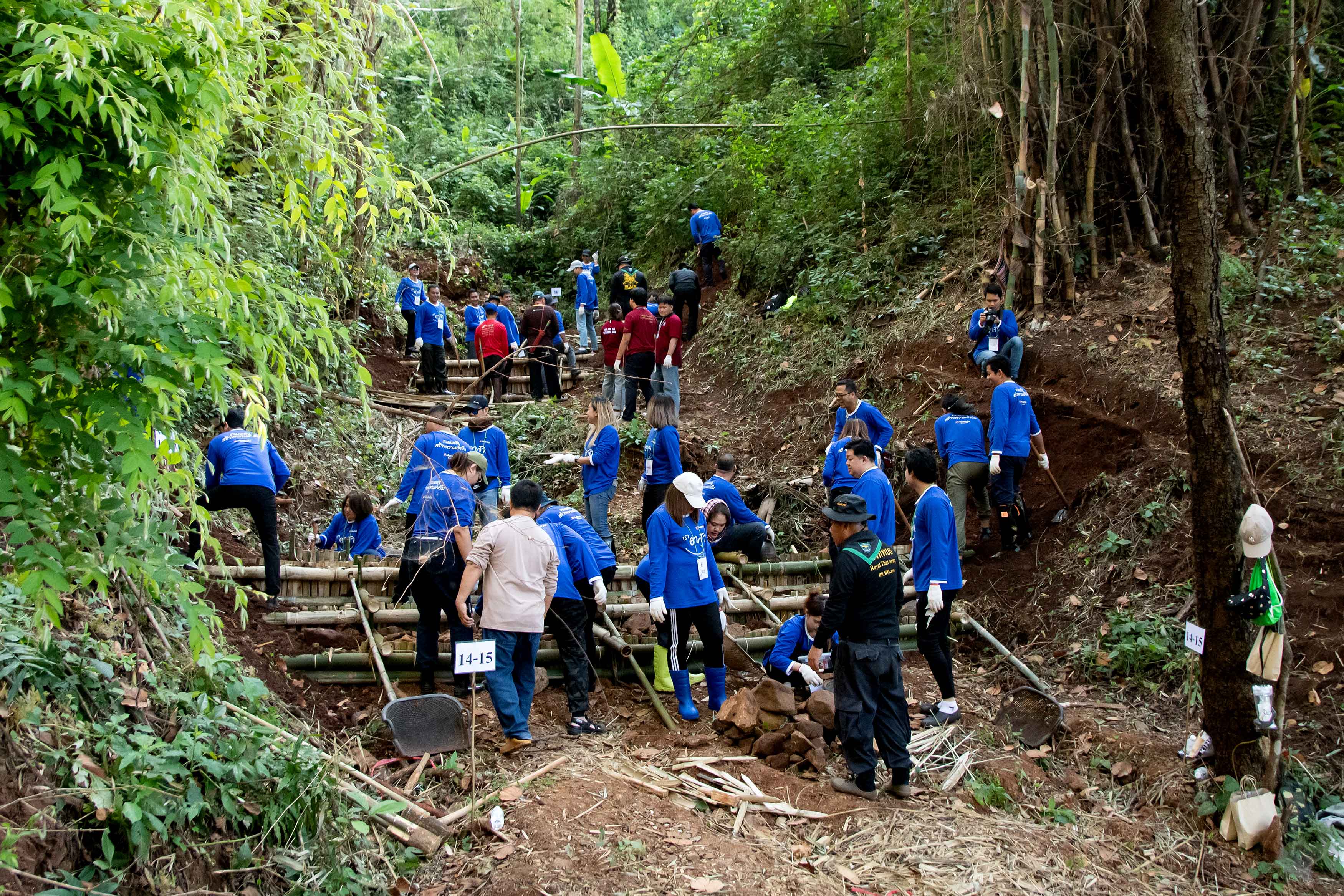 Tidlor Article Gallery