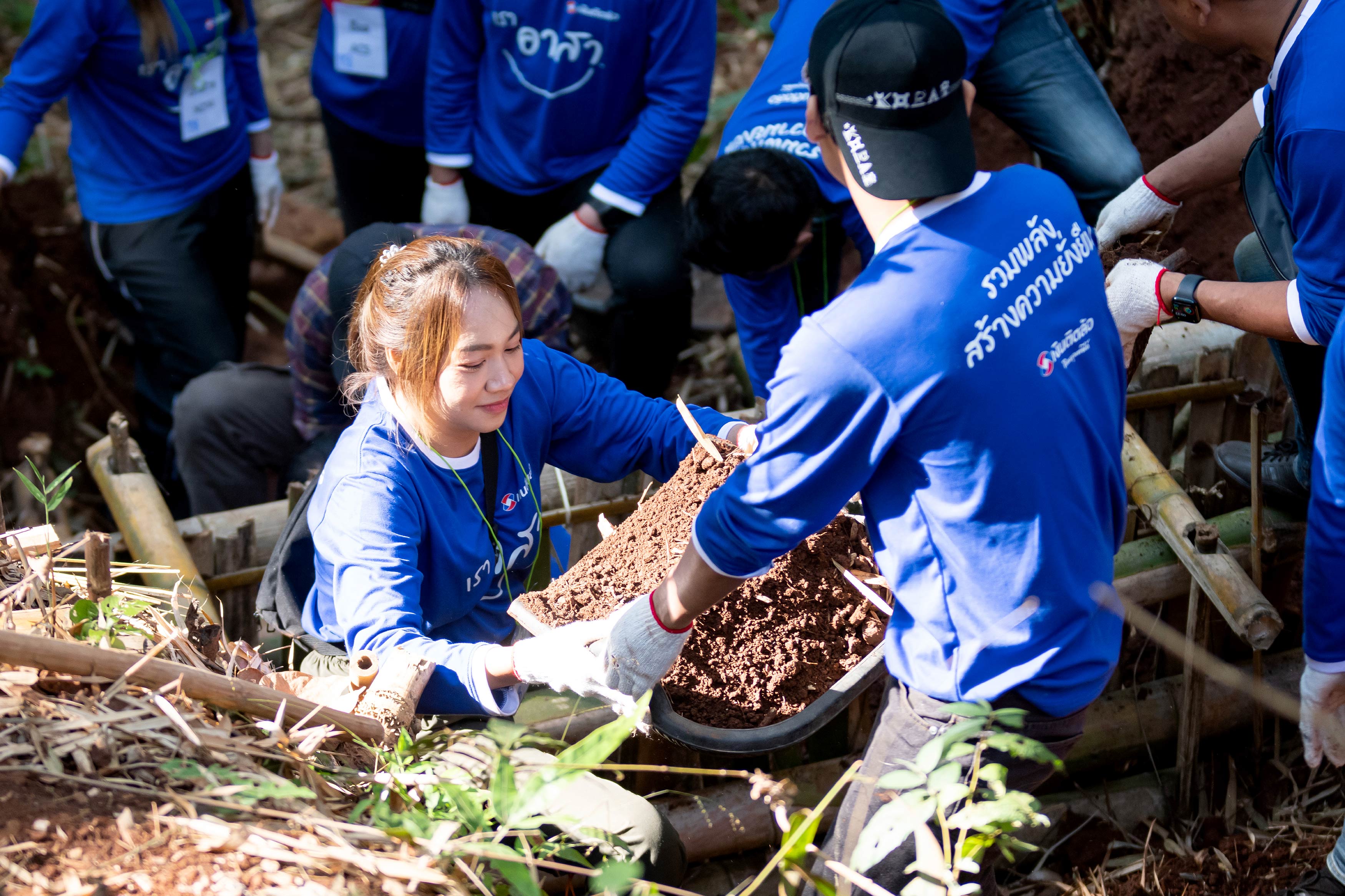 Tidlor Article Gallery