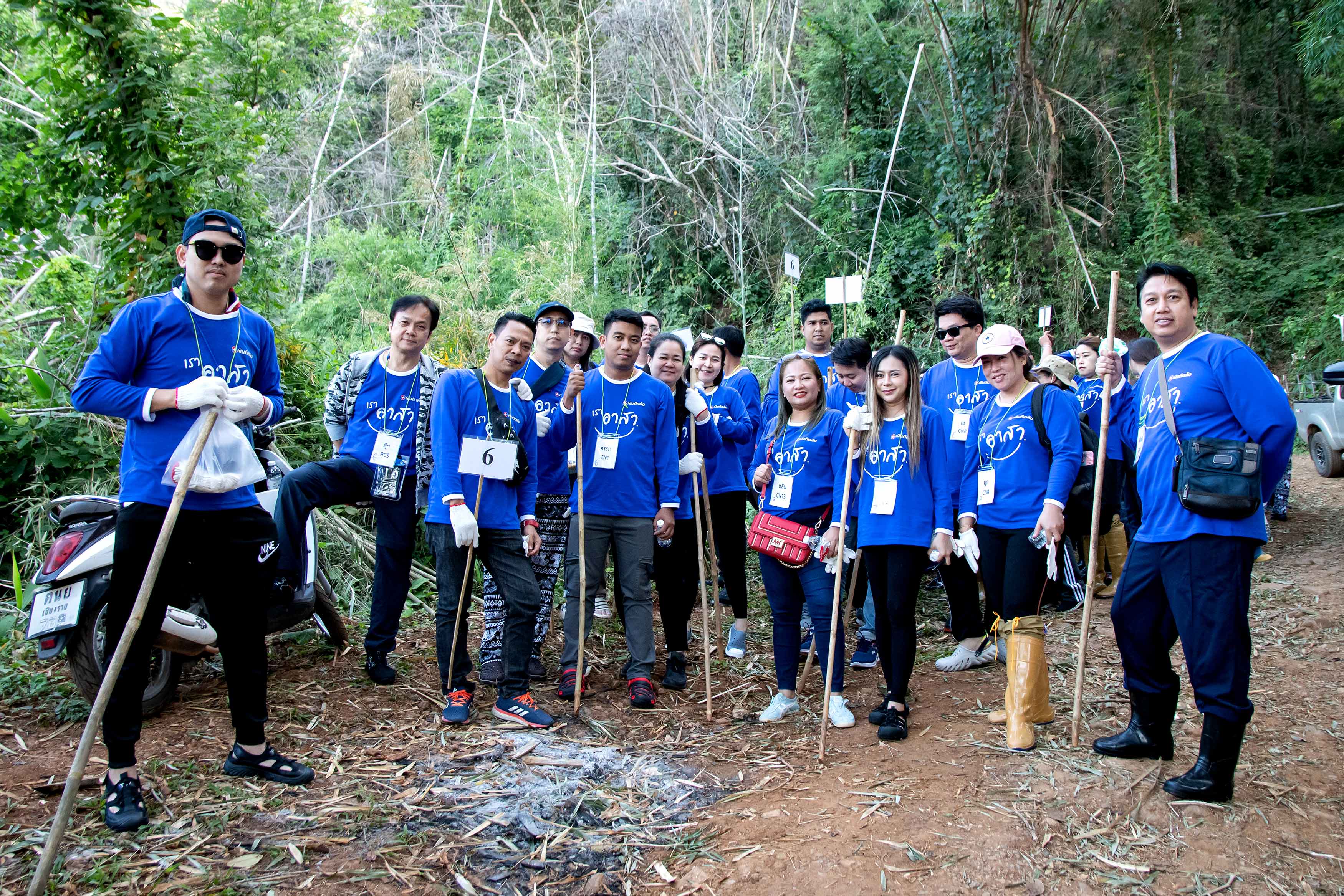 Tidlor Article Gallery