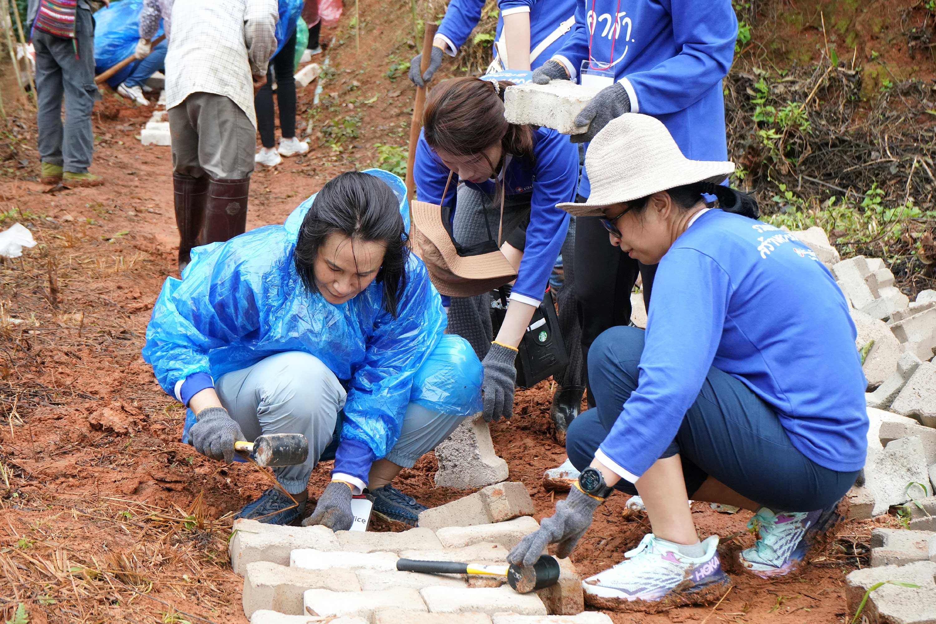 Tidlor Article Gallery