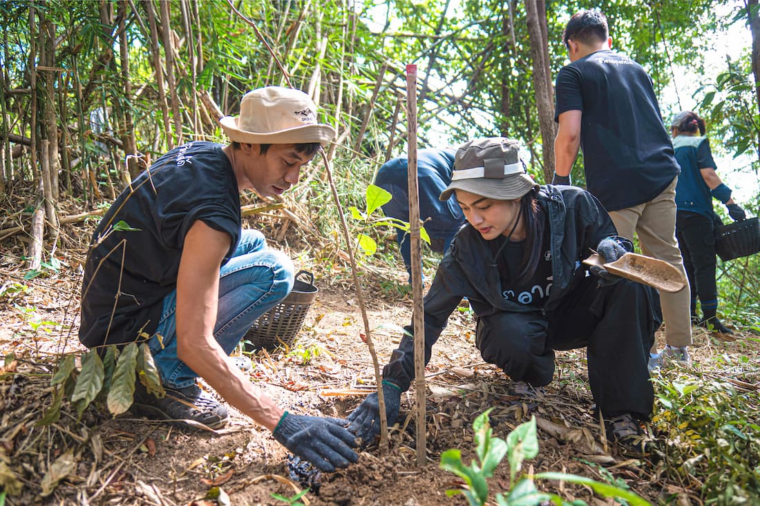 Tidlor Article Gallery