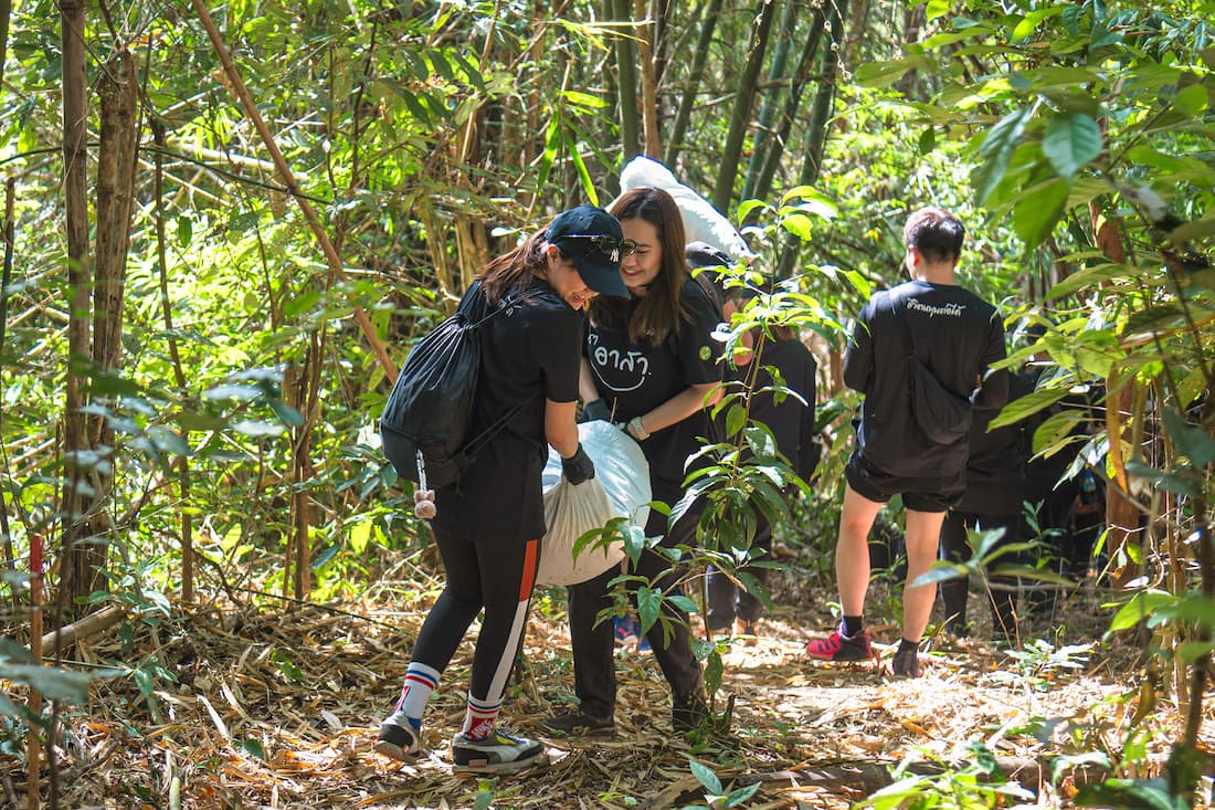 Tidlor Article Gallery