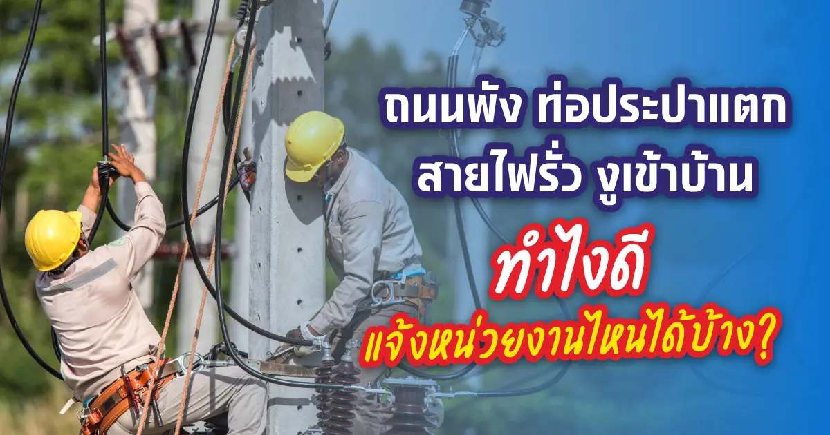 แจ้งท่อประปาแตก ถนนพัง สายไฟรั่ว งูเข้าบ้าน ปัญหาที่มักเจอ
