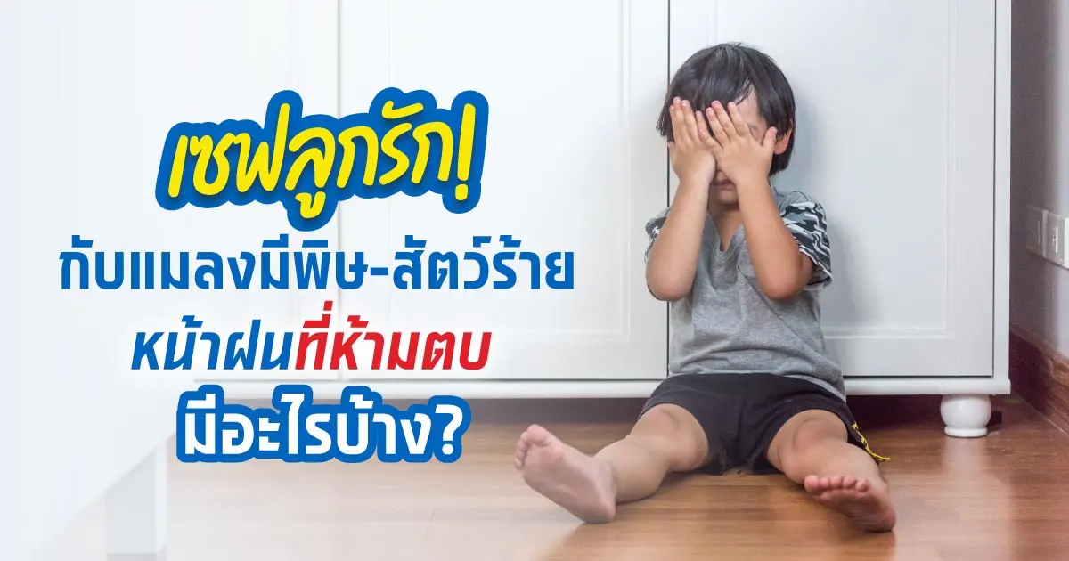 โปรดระวัง! แมลงมีพิษ-สัตว์ร้ายหน้าฝนเข้าบ้านที่จะระรานลูกรัก