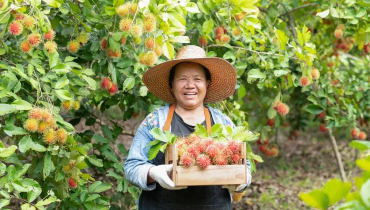 เกษตรกรต้องอ่าน! หาเงินก้อนจากไหนดีเพื่อเพิ่มผลผลิตให้งอกเงย