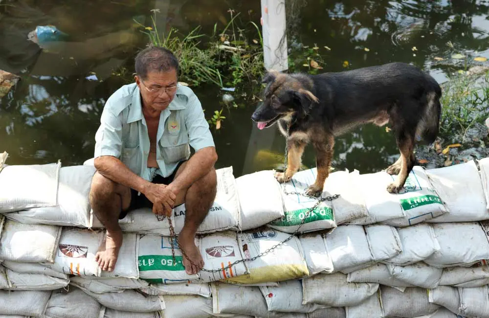 ซื้อประกันภัยบ้าน ประกันอัคคีภัย ออนไลน์ ที่ไหนดี