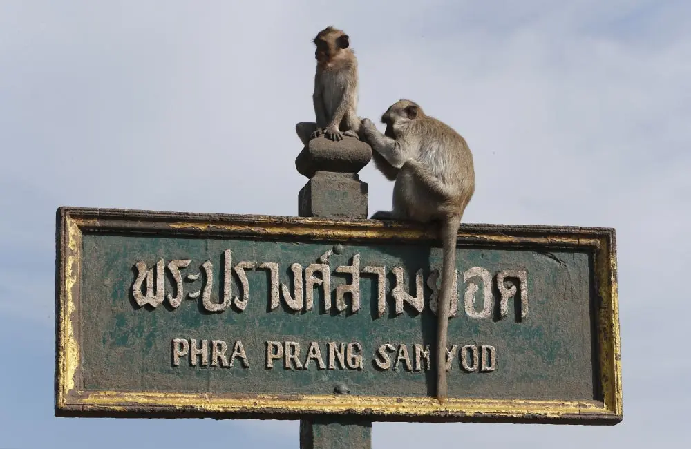 ที่เที่ยวใกล้กรุงเทพ 1 วัน ไม่ค้างคืน จังหวัดลพบุรี
