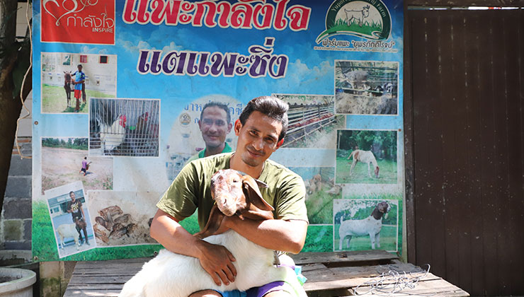 Tae Phae-cing: From Ex-Offender to Goat Farm Owner Financial Knowledge helps Ex-Offender Life rolls forward